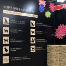 [전시] 2019 제11회 궁디팡팡캣페스타 다녀왔어요