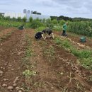 찬우물농장 이미지