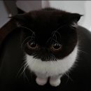 한아름마트 이미지