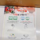 착즙주스 사과즙 추천 백씨네과수원 사과즙 솔직후기