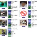 청조동물병원 이미지