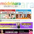 단정하개 애견미용실 | 블린이에게 추천하는 블로그 체험단 사이트 모음 #뷰티 #미용