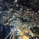 태화로타리하부공영주차장앞 이미지