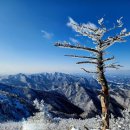 장미아파트 이미지