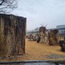 중동면 우물리 이미지