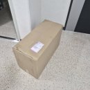 댕 그루밍 이미지