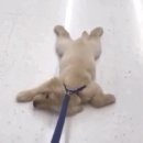 김남혁의원 | 화이자 백신 1차 접종 후기