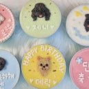 테이스팅독 이미지