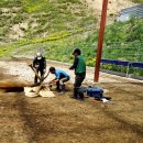 대관령사슴목장 이미지