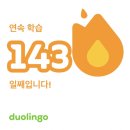 링고영어