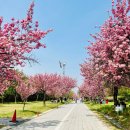 수원하나요양병원 이미지