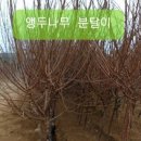 신천리슈퍼 이미지