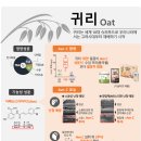 건강나라피부미용