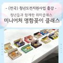 (전국) 청년도전지원사업 취미클래스 미니어처 명함꽂이 출강 후기 _ 청도지 서울, 파주, 강원도 춘천