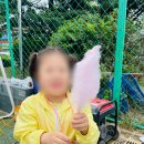 움트리어린이집 이미지