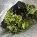 경상북도 임산부 친환경 농산물 지원 사업 주문 후기(신청링크, 품목과 가격, 배송, 추천)