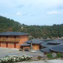 마르띠노 이미지