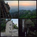 이화리 산58-17 | 속리산 (2025 0527)