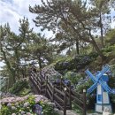 저구해안길 이미지