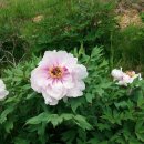 월포바닷가 이미지