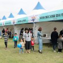 읍면 평생학습 프로그램민화그리기 | 가평군, ‘평생교육 어울림 큰잔치’ 연다...29일 자라섬에서