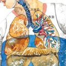 몸살림운동 이미지