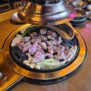 고기백화점 | [대전 괴정동 맛집]마적단/대전 롯데백화점 근처 프리미엄 돼지고기 맛집 추천/방문 후기