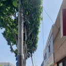 신한세차장 이미지