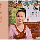 김중자 - 애수의 밤비 이미지