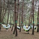 다정지역아동센터 이미지