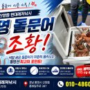 현대낚시레져 | [현대레저낚시] 통영 돌문어조황, 씨알과 마릿수 모두 만족! 통영 돌문어낚시 출조 후기