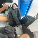 일동하와이 | 함께한 여름의 사진을