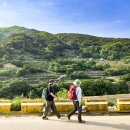 ㈜여행과사람 이미지