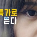 (주)사랑의여행사 이미지