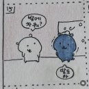 세환쇼핑 이미지