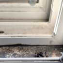 경안안길 이미지