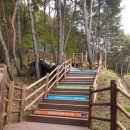 힐링건강랜드 이미지