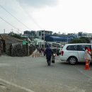 문어삼춘 이미지