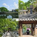 삼정동산 | 경남 함안 가볼만한곳 무진정 함안낙화놀이축제 정보