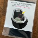 발토(BALTO) | 강아지 경추보호대 디스크 목깁스 발토(Balto) 보조기 내돈내산 사용후기