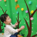 꽃뿐이네 이미지