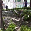 새꿈어린이공원 이미지