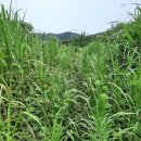 월흥경로당 이미지