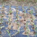 (주)풀과나무 이미지