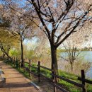 서호꽃뫼 이미지