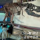 말라위사우루스 | 전남 아이와 가볼만한곳 해남 공룡박물관 입장료 식당 공룡탐험