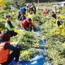 의성꽃화원 이미지