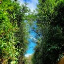 야음장생포행정복지센터 이미지