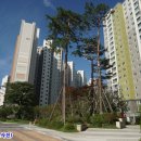 강릉 지구부동산 공인중개사사무소 이미지