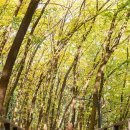 신정로(계남근린공원) 이미지